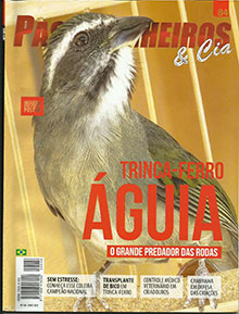 Revista nmero 084