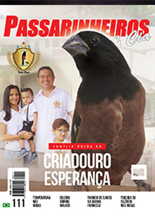 Revista nmero 111