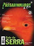 Revista nmero 041
